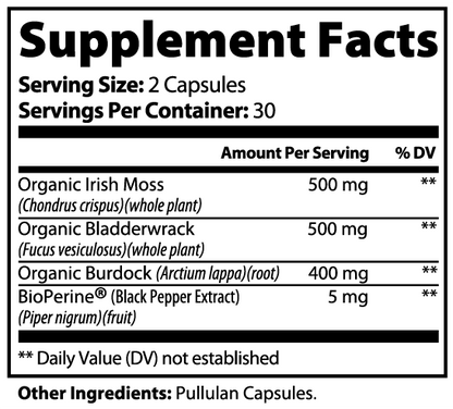 Sea Moss Supplement | Immune & Digestive Support