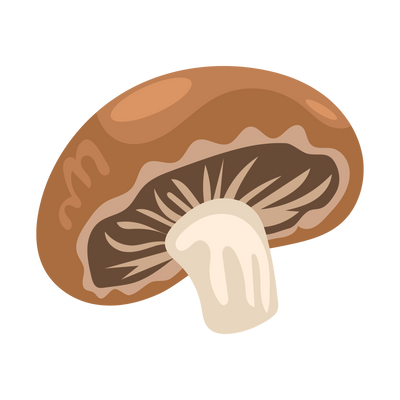 Lion’s Mane Mushroom