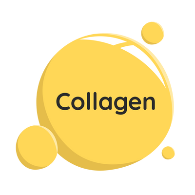 Collagen Type 1