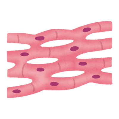 Collagen Type 3