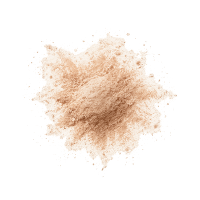 Apple Juice Powder (Fruit)