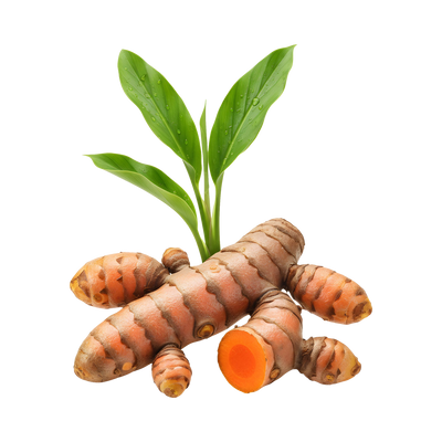 Turmeric (Root)
