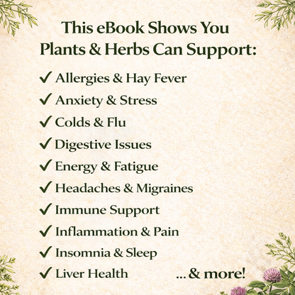 Herbal Medicine Starter Guide