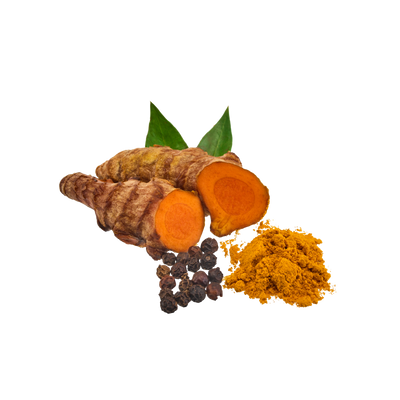 Turmeric Extract