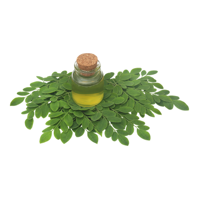 Moringa Oleifera (Leaf)