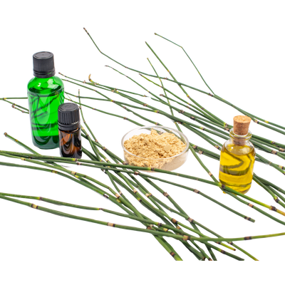 Horsetail Extract & Bamboo