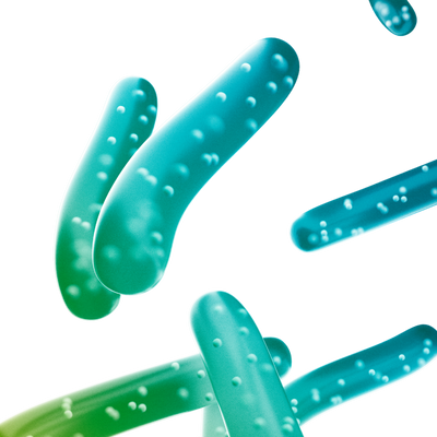 Lactobacillus Ferment Filtrate